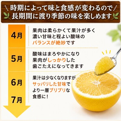 プレミアム 河内晩柑 3kg L ～ 3L 優品 贈答用 樹齢 20年 清家ばんかんビレッジ