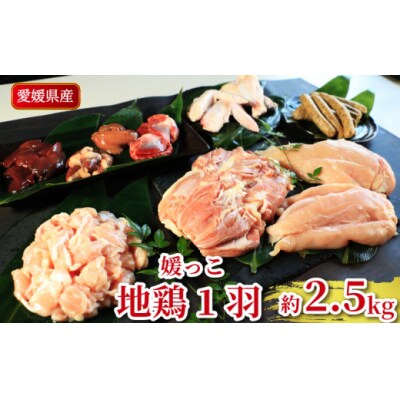 地鶏 愛媛 媛っこ地鶏 1羽セット 約2.5kg 鶏肉 鳥肉 ローカルスタンダード