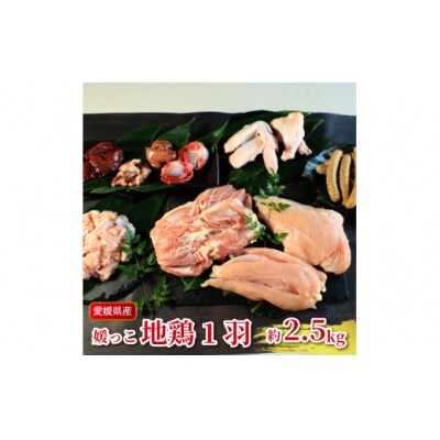 地鶏 愛媛 媛っこ地鶏 1羽セット 約2.5kg 鶏肉 鳥肉 ローカルスタンダード
