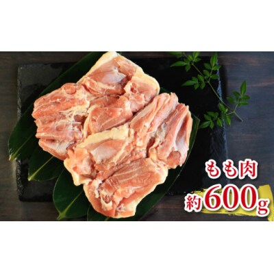 地鶏 愛媛 媛っこ地鶏 1羽セット 約2.5kg 鶏肉 鳥肉 ローカルスタンダード
