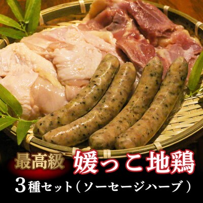 数量限定 最高級 ブランド 地鶏 媛っこ地鶏 セット3種 ソーセージローカルスタンダード