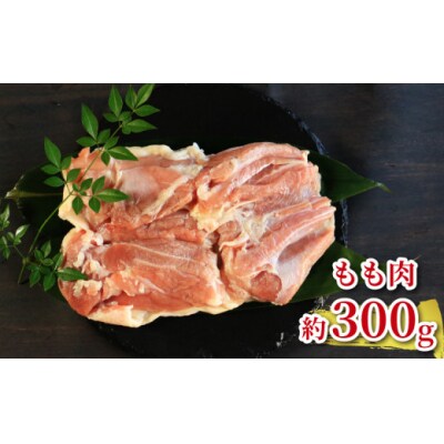 地鶏 愛媛 媛っこ地鶏 もも むね セット 約700g 鶏肉 鳥肉 肉 チキン むね肉 もも肉  