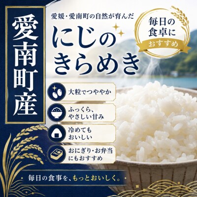 【先行予約】新米 にじのきらめき 10kg えひめ南農業協同組合