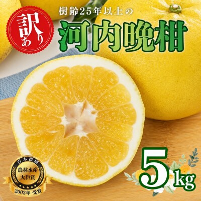 【訳あり】 河内晩柑(愛南ゴールド) 5kg 吉本農園 みかん 愛媛県 愛南町