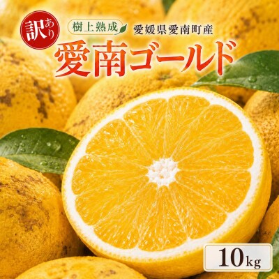 木成り 追熟 訳あり 愛南ゴールド 約10kg 河内晩柑 柑橘 みかん エニシトラス 愛媛県 愛南町