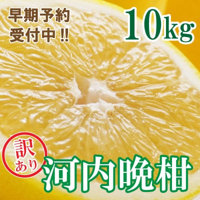 訳あり 河内晩柑 ばんかん 約 10kg 不揃い 柑橘 みかん マルエム直販 愛媛県 愛南町
