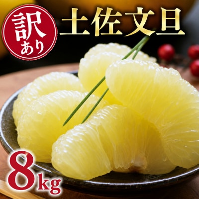 【先行予約:2026年12月中旬～発送】 訳あり 土佐文旦 8kg くらもとファーム 愛媛県 愛南町