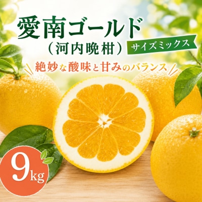 【ふるさと納税】 河内晩柑 (愛南ゴールド) 大玉小玉ミックス 9kg 愛媛県 愛南町 愛なんよ