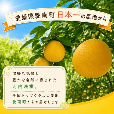 【ふるさと納税】 河内晩柑 (愛南ゴールド) 大玉小玉ミックス 9kg 愛媛県 愛南町 愛なんよ