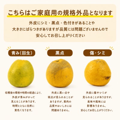 【ふるさと納税】 河内晩柑 (愛南ゴールド) 大玉小玉ミックス 9kg 愛媛県 愛南町 愛なんよ