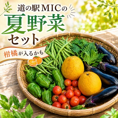 愛南町 旬の 夏野菜 セット 柑橘 入りの場合も 最低3～4種類 なす ピーマン 愛媛 愛南総研