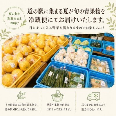愛南町 旬の 夏野菜 セット 柑橘 入りの場合も 最低3～4種類 なす ピーマン 愛媛 愛南総研