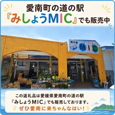 愛南町 旬の 夏野菜 セット 柑橘 入りの場合も 最低3～4種類 なす ピーマン 愛媛 愛南総研