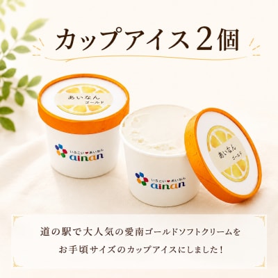愛南ゴールド アイス 小パック 2個 ソルベ 3個 河内晩柑 アイスクリーム 愛南総研 愛媛 愛南