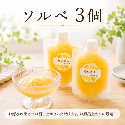 愛南ゴールド アイス 小パック 2個 ソルベ 3個 河内晩柑 アイスクリーム 愛南総研 愛媛 愛南
