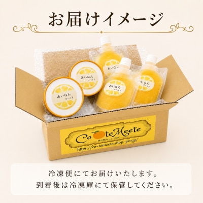 愛南ゴールド アイス 小パック 2個 ソルベ 3個 河内晩柑 アイスクリーム 愛南総研 愛媛 愛南