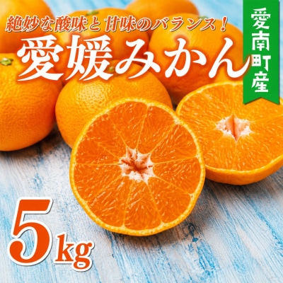 [先行予約]訳あり 愛媛みかん 5kg 愛媛 温州 マルハラファーム
