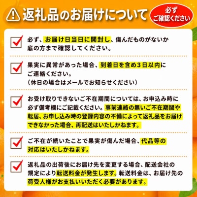【先行予約】訳あり 愛媛みかん 5kg 愛媛 温州 マルハラファーム