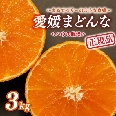 先行受付 数量限定 正規品 まどんな 3kg みかん 前田ファーム 愛南町 愛媛県