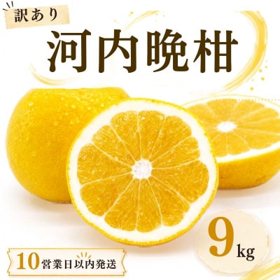 【10営業日以内発送】訳あり 河内晩柑 ばんかん 約 9kg 不揃い マルエム直販 愛媛県 愛南町