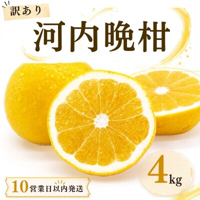 【10営業日以内発送】訳あり 河内晩柑 ばんかん 約 4kg 不揃い マルエム直販 愛媛県 愛南町