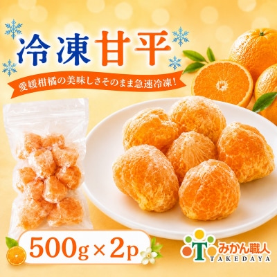 冷凍甘平 500g×2袋 冷凍柑橘 みかん職人武田屋