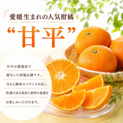 冷凍甘平 500g×2袋 冷凍柑橘 みかん職人武田屋