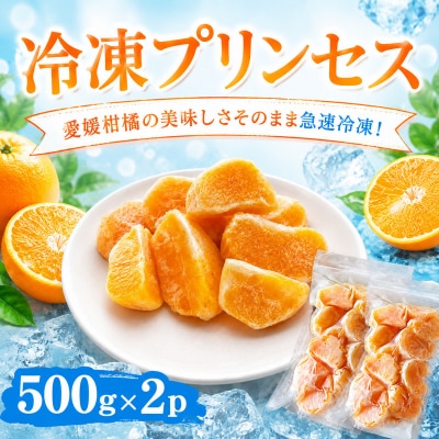 冷凍プリンセス 500g×2袋 冷凍柑橘 みかん職人武田屋