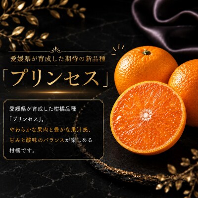 冷凍プリンセス 500g×2袋 冷凍柑橘 みかん職人武田屋