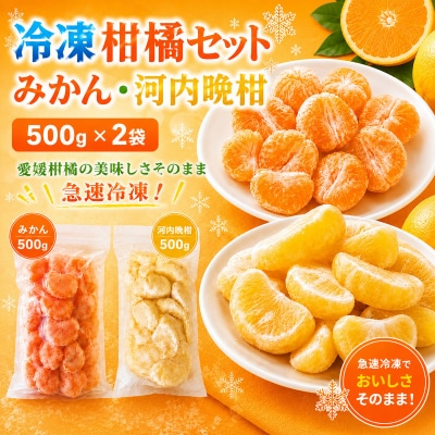 冷凍柑橘セット 愛媛みかん・河内晩柑 500g×2袋 みかん職人武田屋