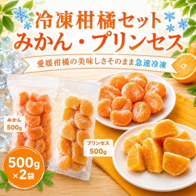 冷凍柑橘セット 愛媛みかん・プリンセス 500g×2袋 みかん職人武田屋