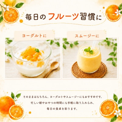 冷凍柑橘セット 愛媛みかん・プリンセス 500g×2袋 みかん職人武田屋