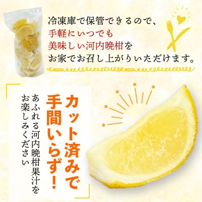 冷凍皮付河内晩柑 500g×4袋 小分け 愛南ゴールド 和製グレープフルーツ みかん職人武田屋