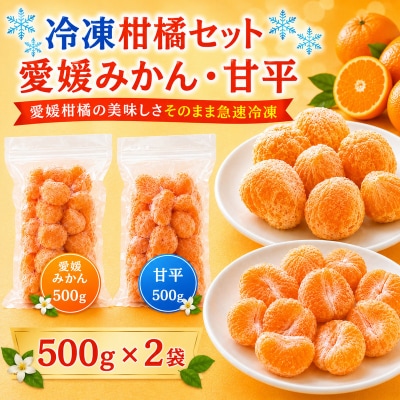 冷凍柑橘セット 愛媛みかん・甘平 500g×2袋 みかん職人武田屋 | 愛媛県