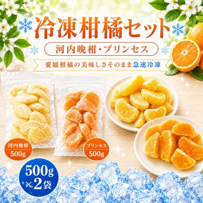 冷凍柑橘セット 河内晩柑・プリンセス 500g×2袋 みかん職人武田屋