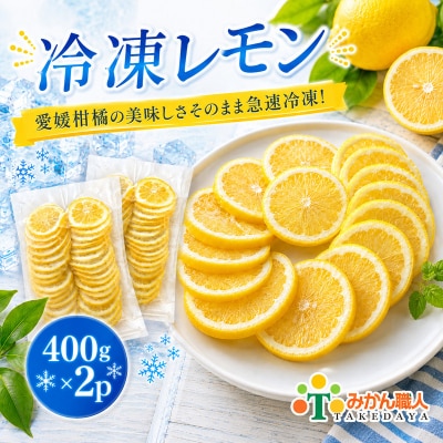 冷凍レモン 400g×2袋 冷凍柑橘 みかん職人武田屋