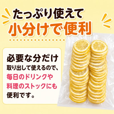 冷凍レモン 400g×2袋 冷凍柑橘 みかん職人武田屋