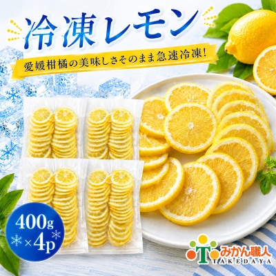 冷凍レモン 400g×4袋 冷凍柑橘 みかん職人武田屋