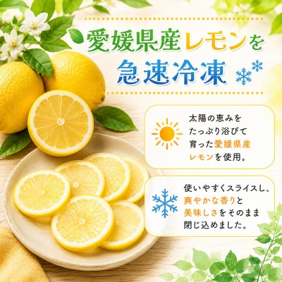 冷凍レモン 400g×4袋 冷凍柑橘 みかん職人武田屋