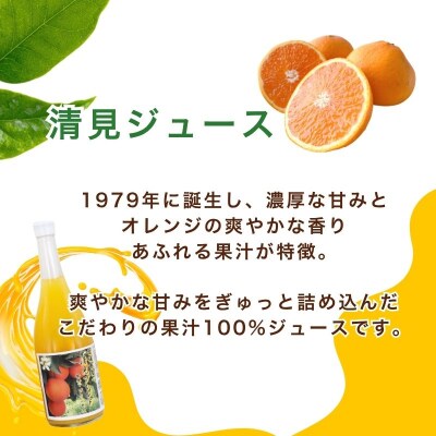清見ブレンドジュース ストレート 720ml × 4本 中山農園