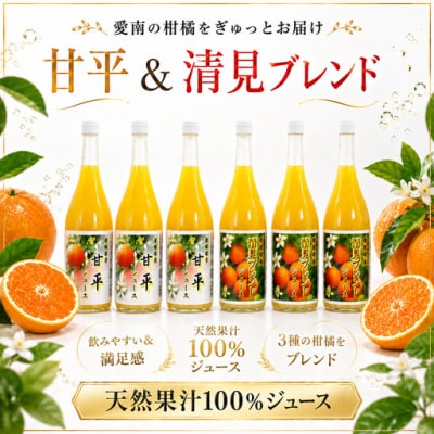 清見ブレンドジュース 甘平ジュース ストレート 各720ml × 3本 6本セット 中山農園