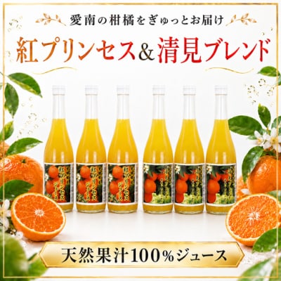 清見ブレンドジュース 紅プリンセスジュース ストレート 各720ml × 3本 6本セット 中山農園