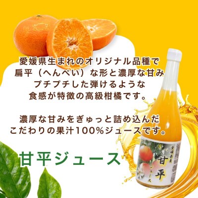 紅プリンセスジュース 甘平ジュース ストレート 各720ml × 1本 2本セット 中山農園