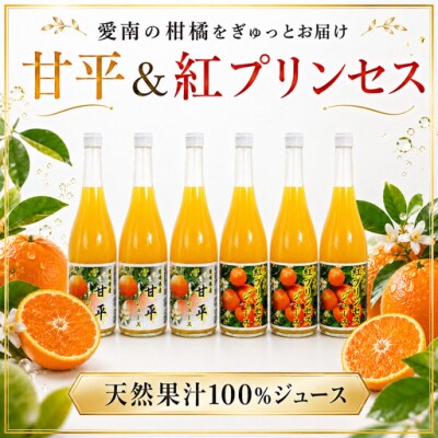 紅プリンセスジュース 甘平ジュース ストレート 各720ml × 3本 6本セット 中山農園