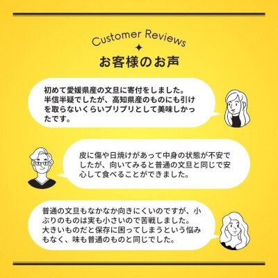 【先行予約】【発送:2027年3月上旬～】贈答用 土佐文旦 4kg 愛媛県 愛南町 吉本農園