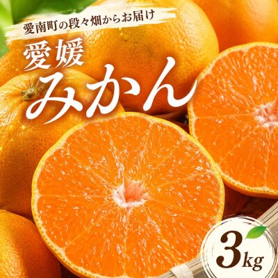 【数量限定】 先行予約 愛媛みかん 3kg 温州みかん 柑橘 甘い 岡平農園 愛媛 愛南