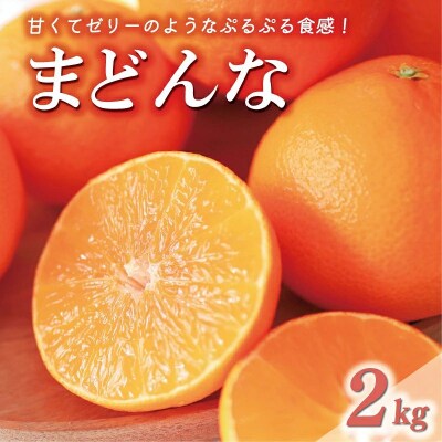 数量限定 先行予約 訳あり まどんな 2kg 愛果28号 岡平農園 愛媛 限定 愛南