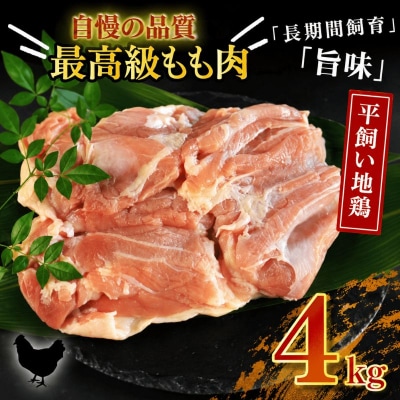 地鶏 愛媛 媛っこ地鶏 もも肉 約4kg ローカルスタンダード 愛媛 愛南