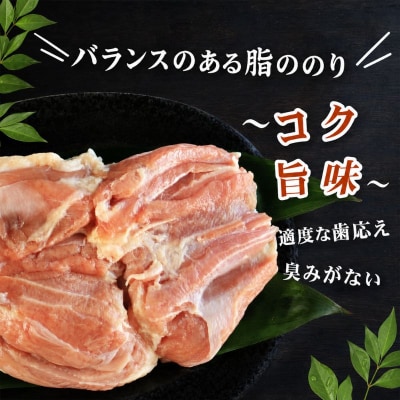 地鶏 愛媛 媛っこ地鶏 もも肉 約4kg ローカルスタンダード 愛媛 愛南