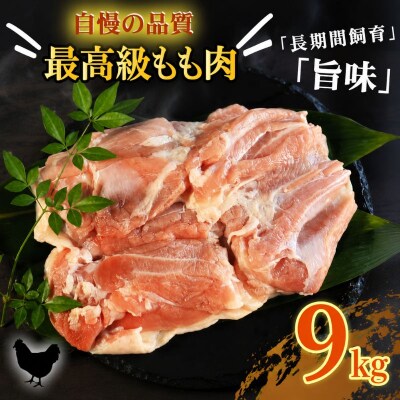 地鶏 愛媛 媛っこ地鶏 もも肉 約9kg ローカルスタンダード 愛媛 愛南